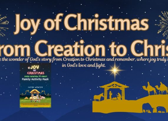 Read more about the article The Joy of Christmas is here